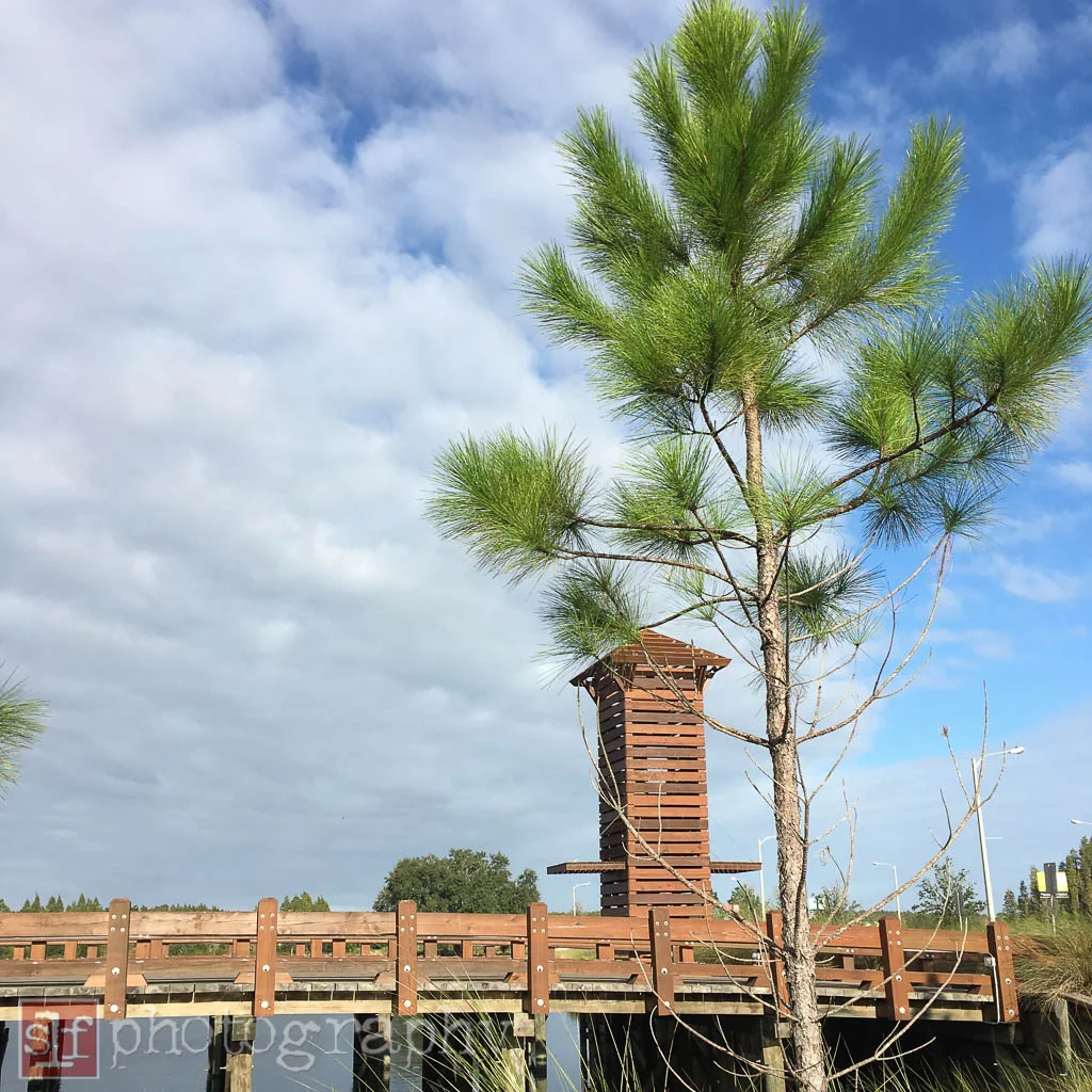 union park bridge