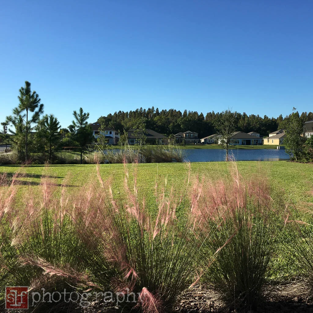 union park welcome center on saturday