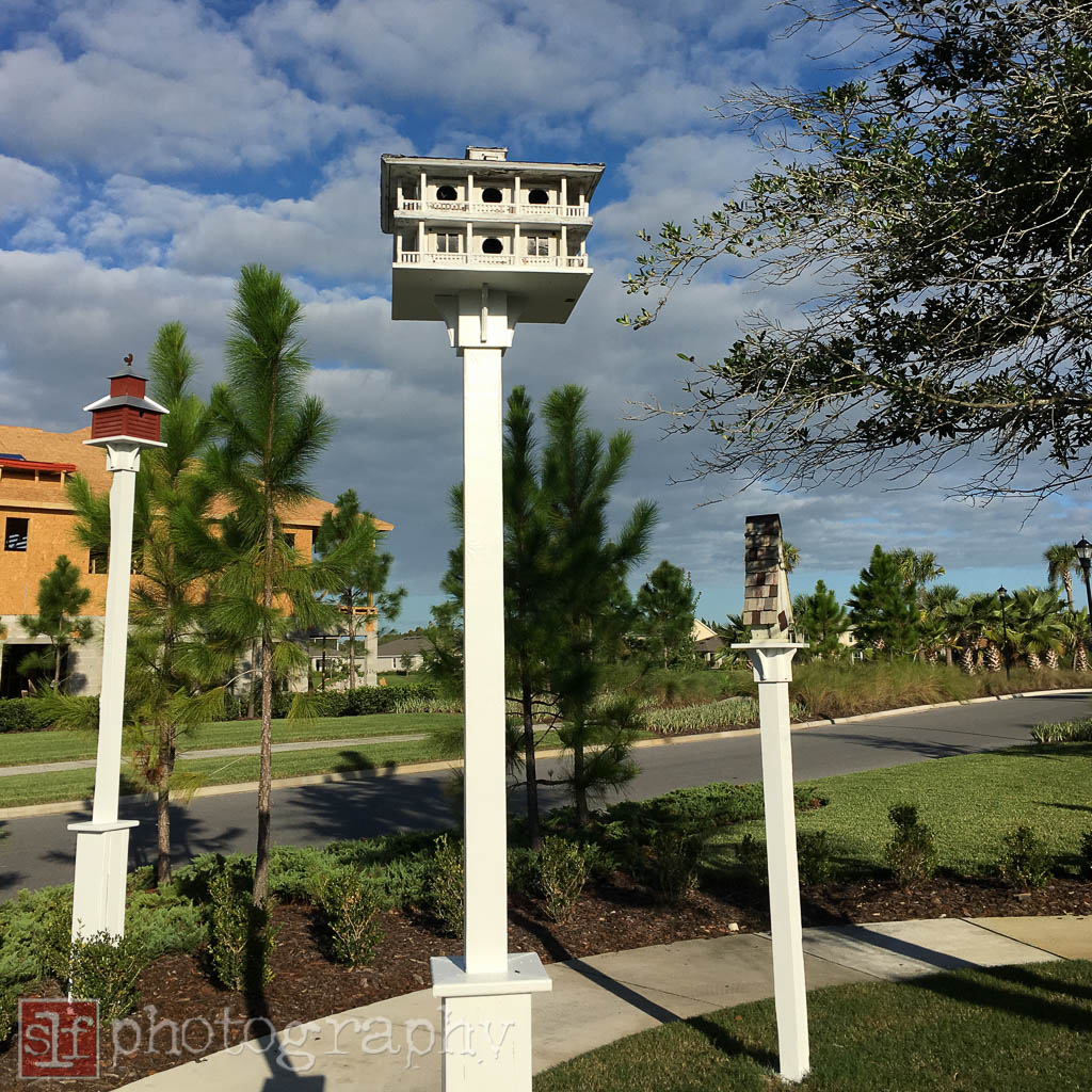 i would expect to see purple martins in this type of bird house