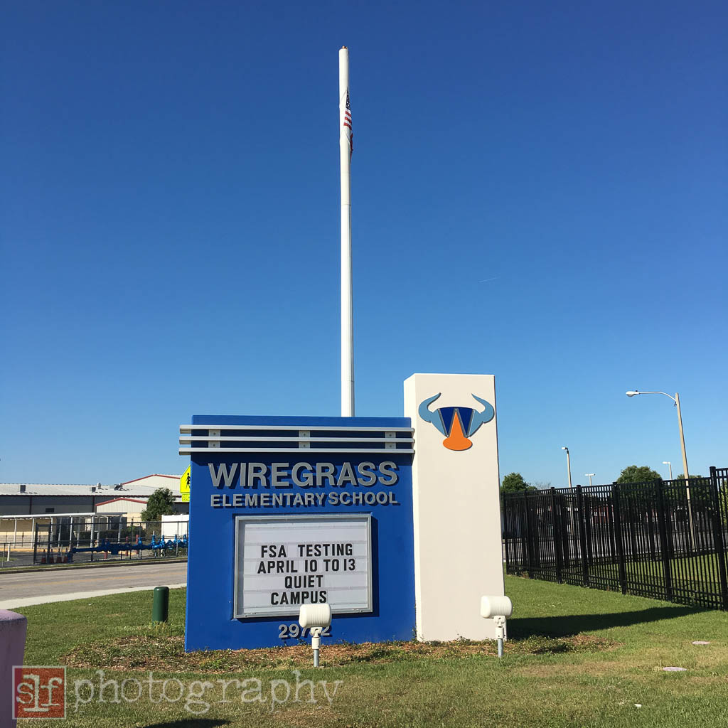 wiregrass elementary