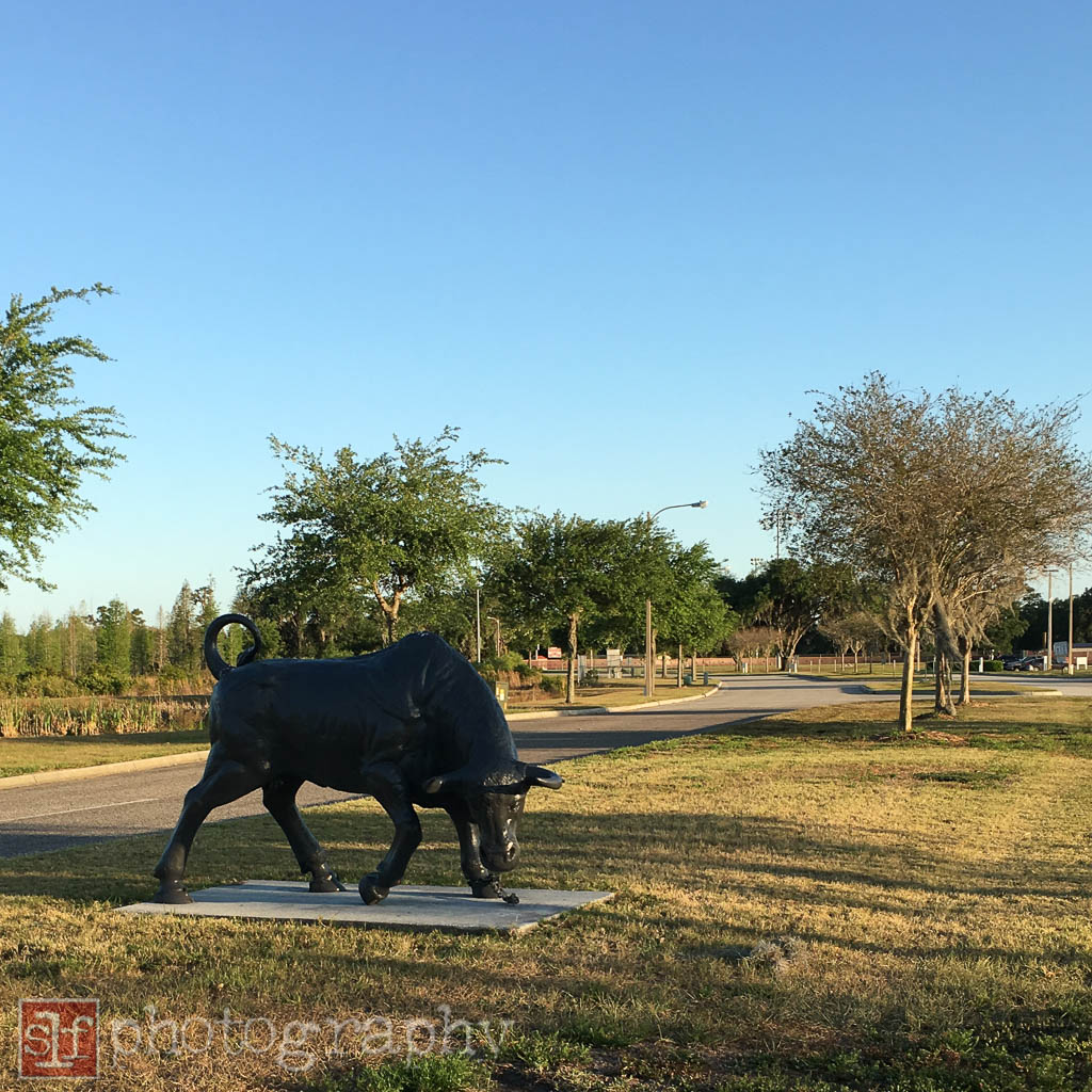 wiregrass ranch high school mascot