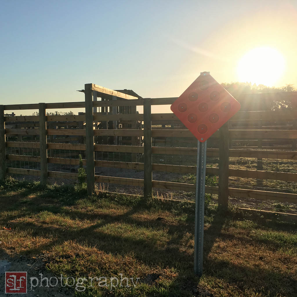 are these sorting chutes? i know little about raising cattle