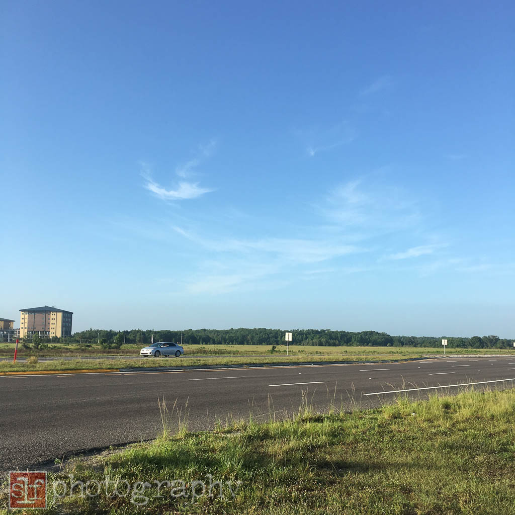 looking south from sr56 & wiregrass ranch boulevard