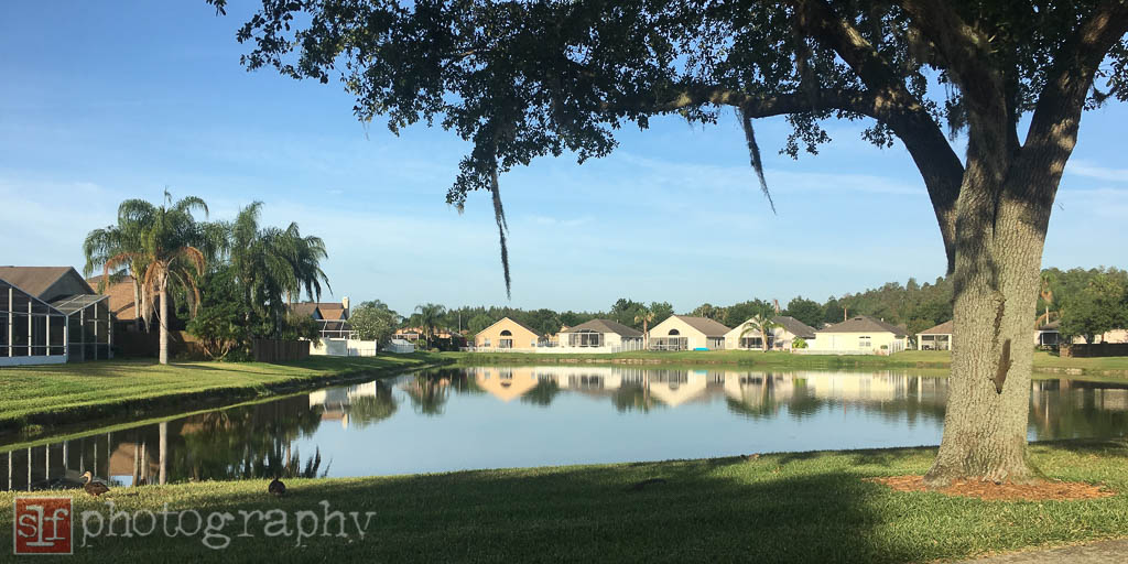 i wish our village had a public pond