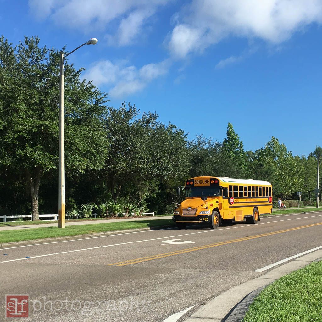 not sure why the school buses were out. i saw two and assume they must be out to test drive the summer school routes.