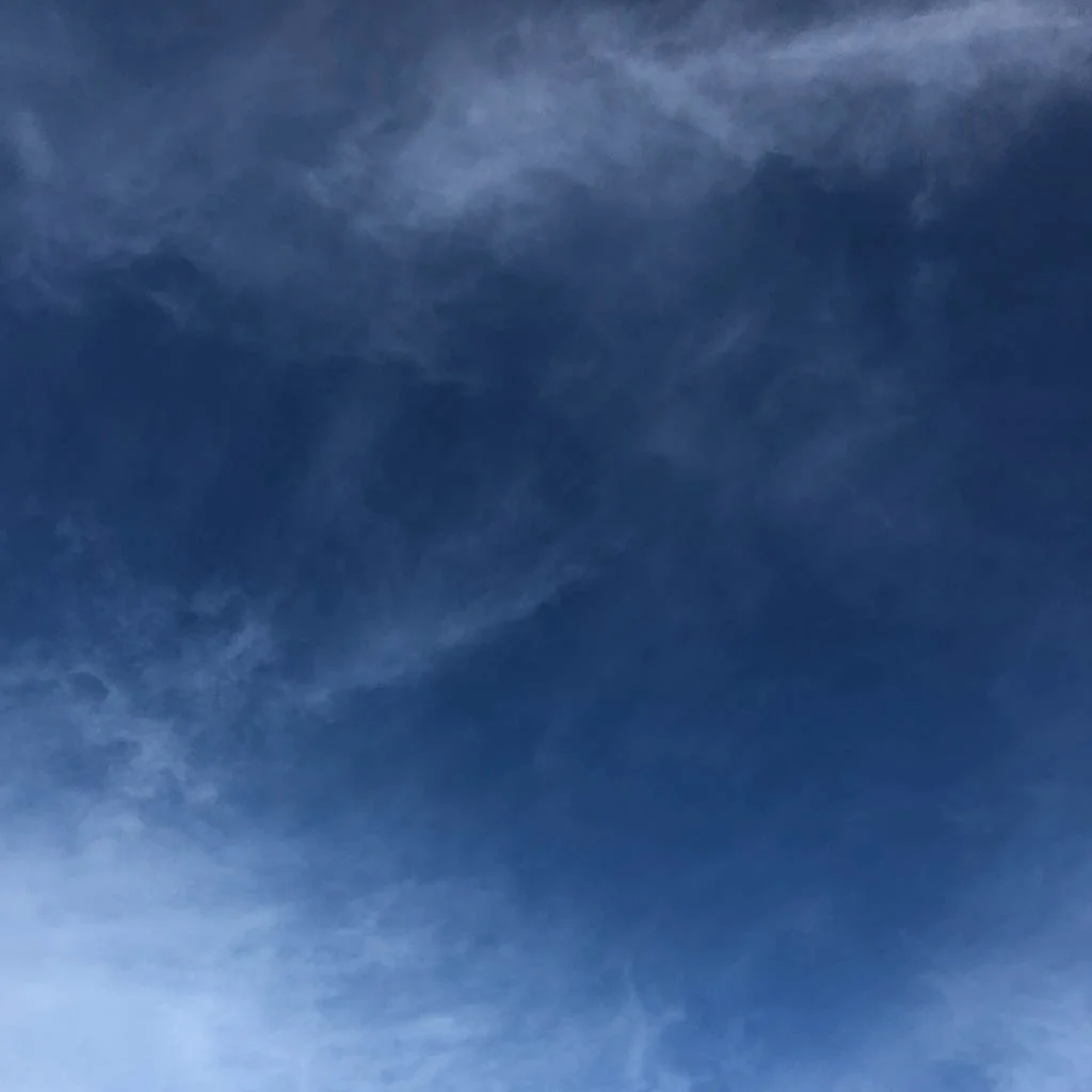 slf-20180128-07.jpg