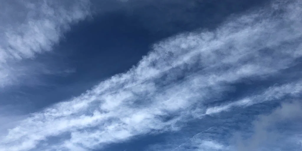 slf-20180522-05.jpg