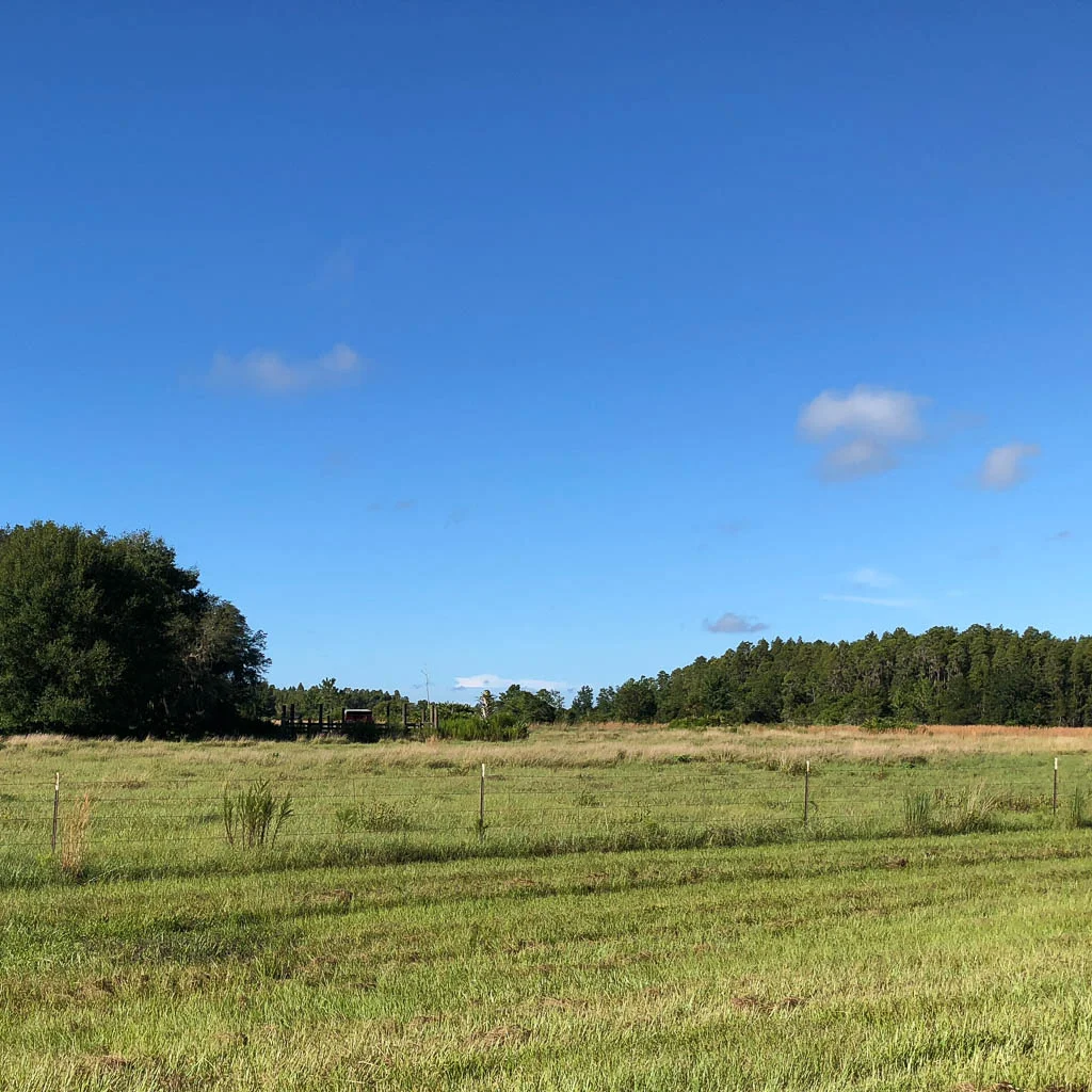slf-20180908-08.jpg