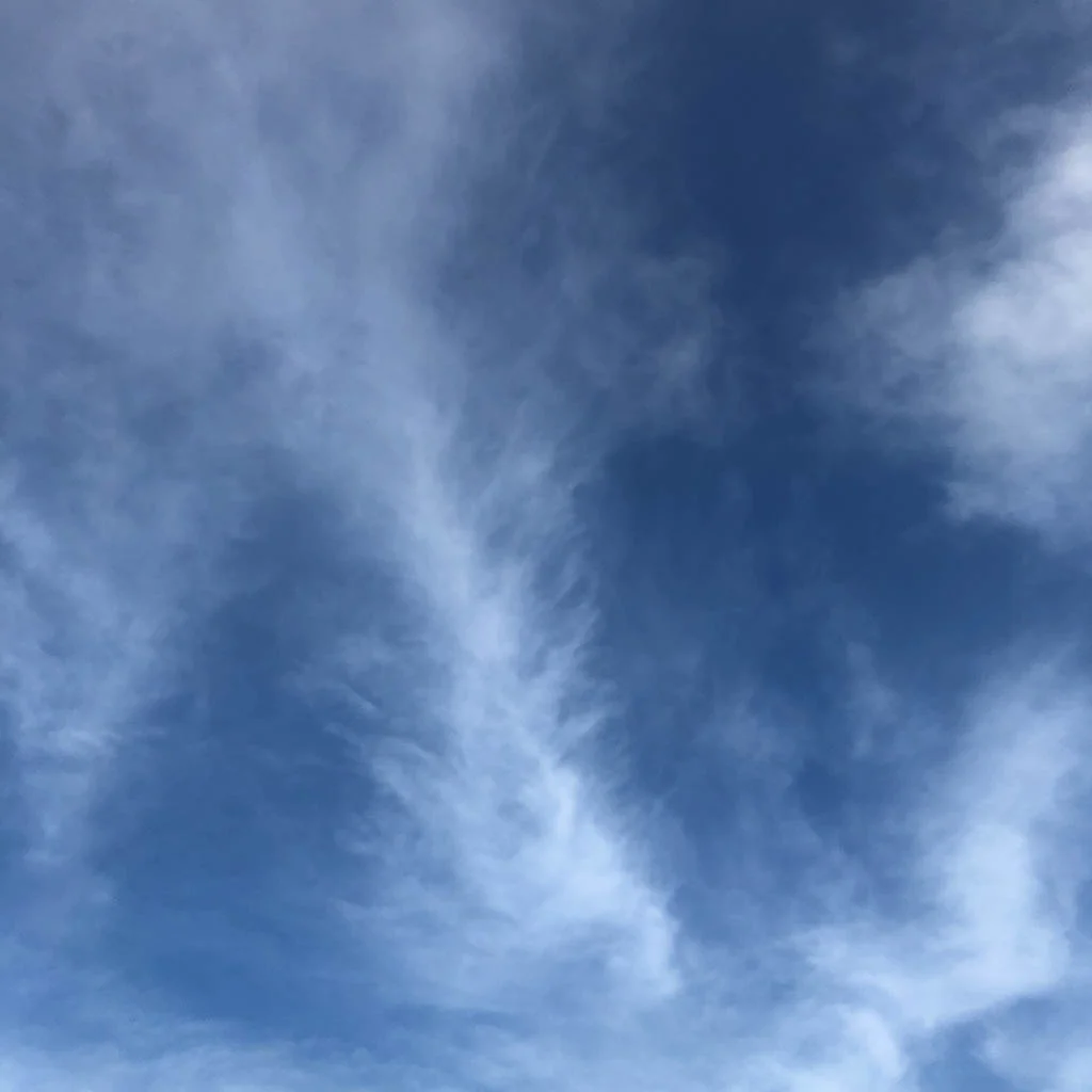 slf-20181009-08.jpg