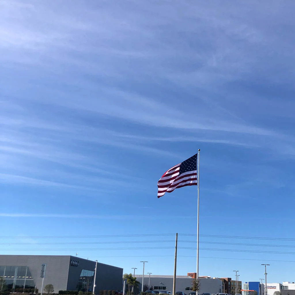 slf-20190125-24.jpg