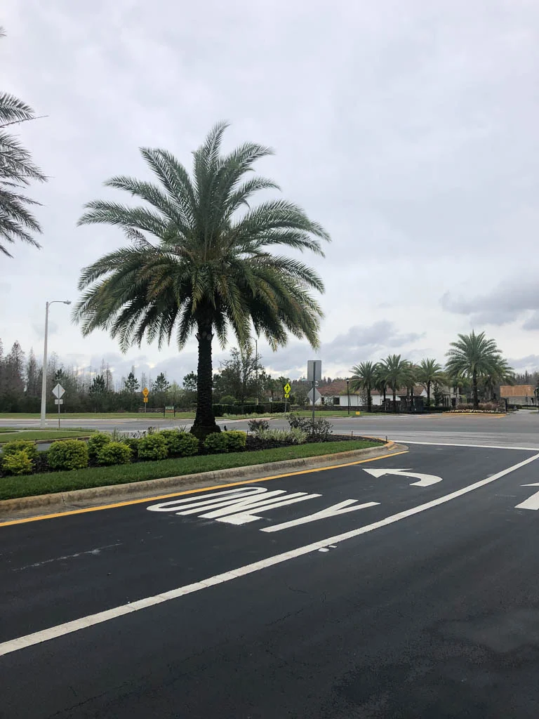 slf-20190213-06.jpg