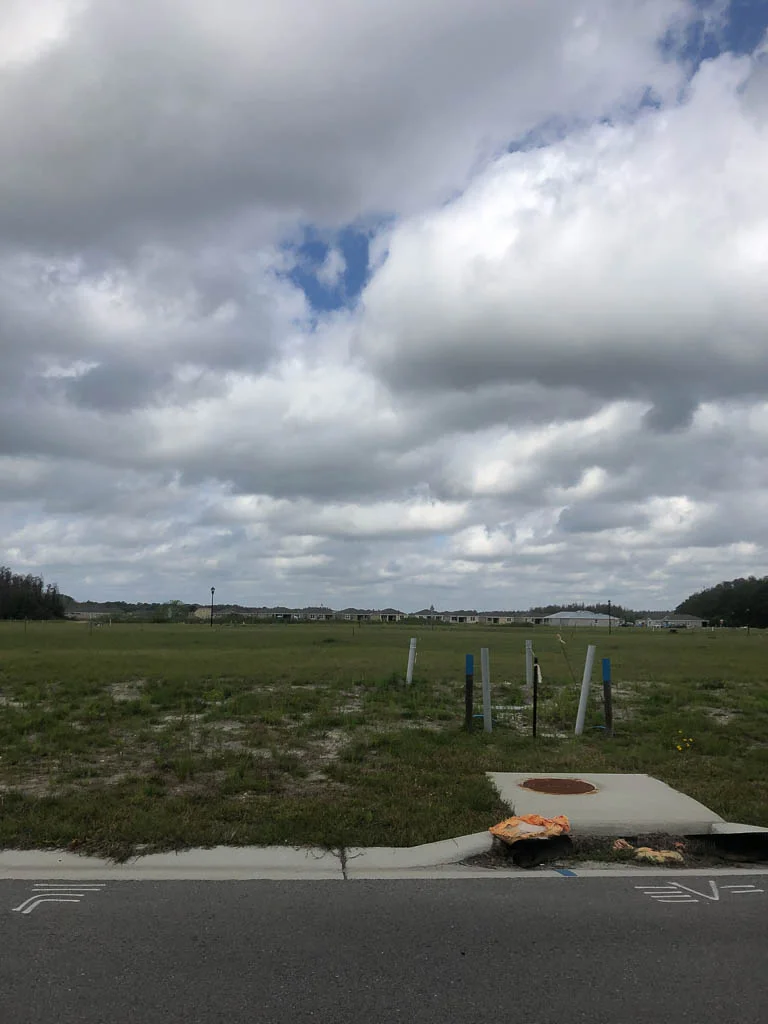 slf-20190220-03.jpg