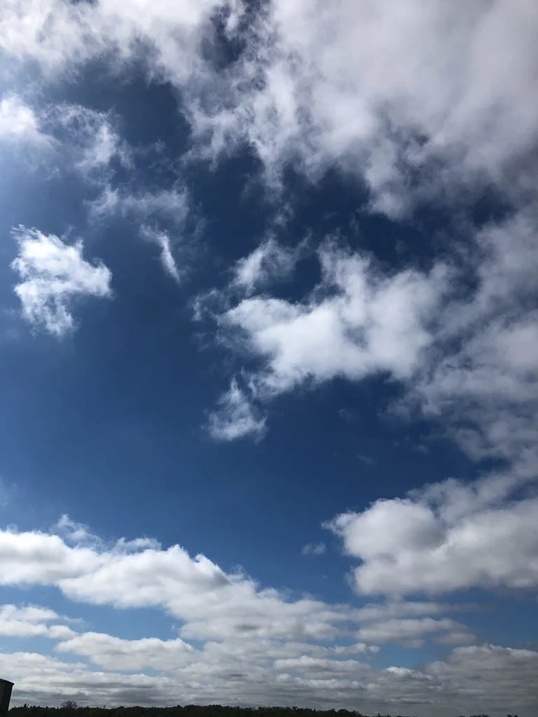 slf-20190228-17.jpg