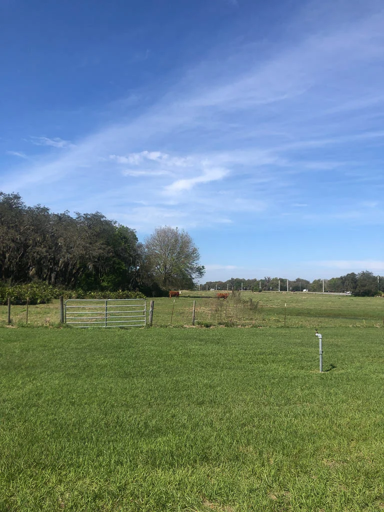 slf-20190301-21.jpg