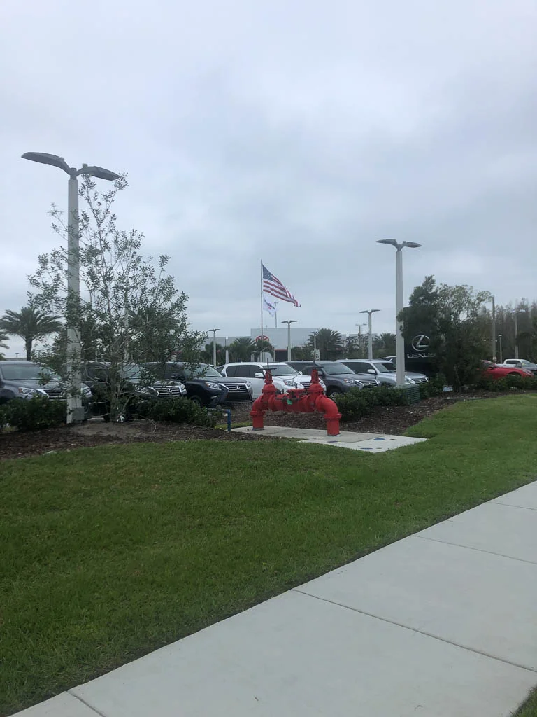 slf-20190305-10.jpg