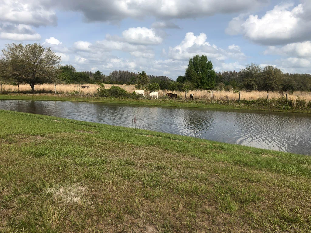 slf-20190309-27.jpg