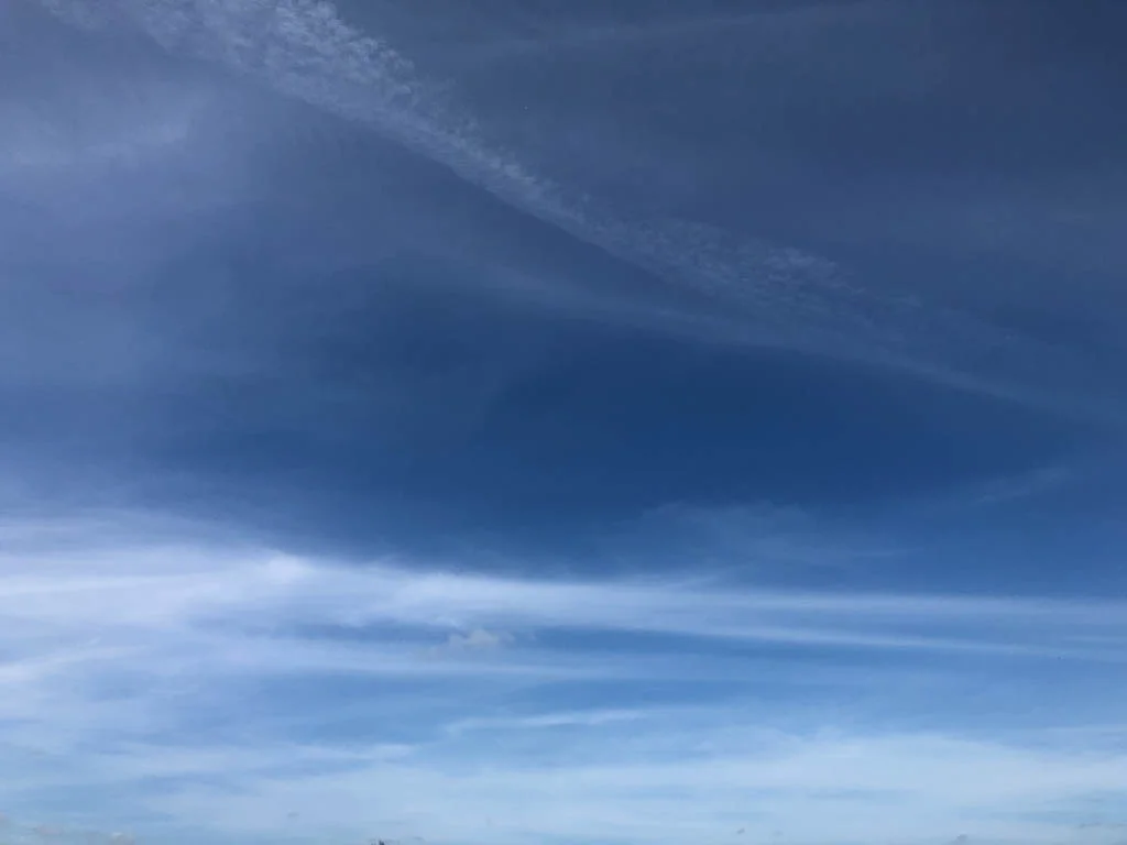slf-20190313-15.jpg