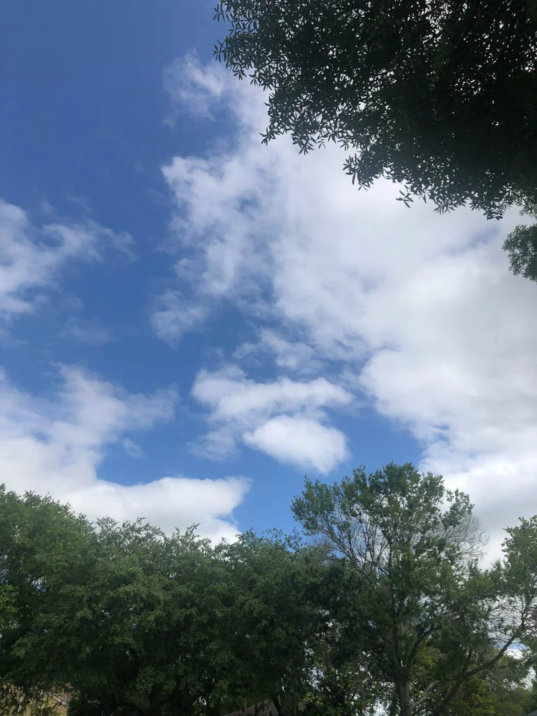 slf-20190402-05.jpg