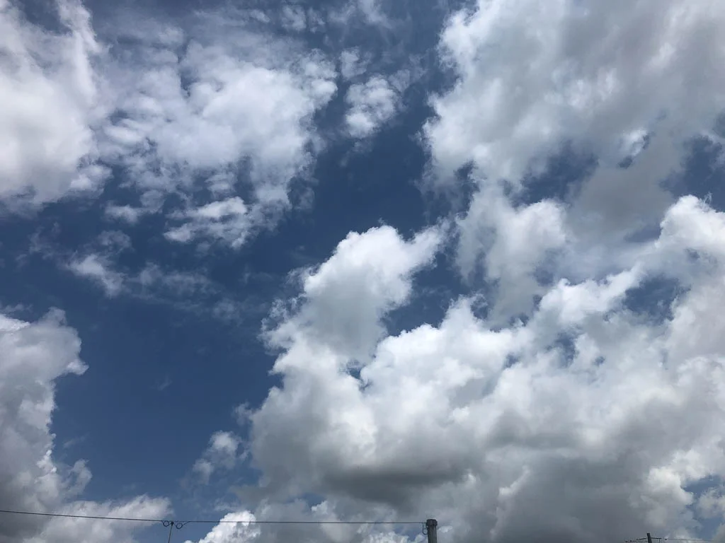 slf-20190405-22.jpg