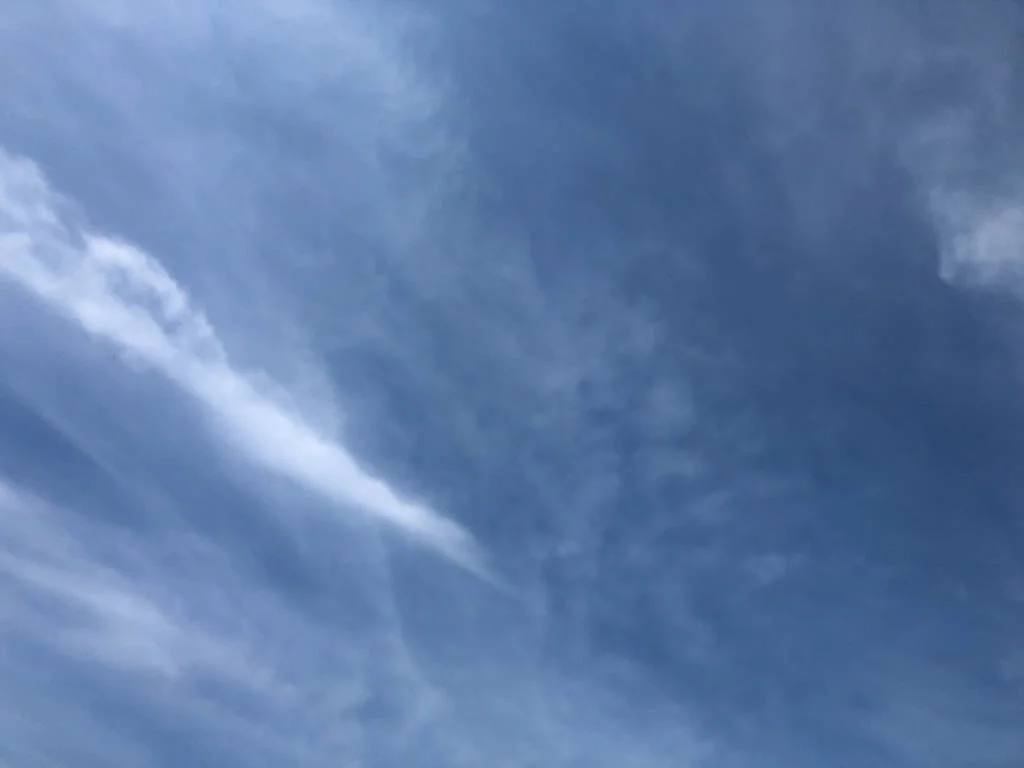 slf-20190406-33.jpg