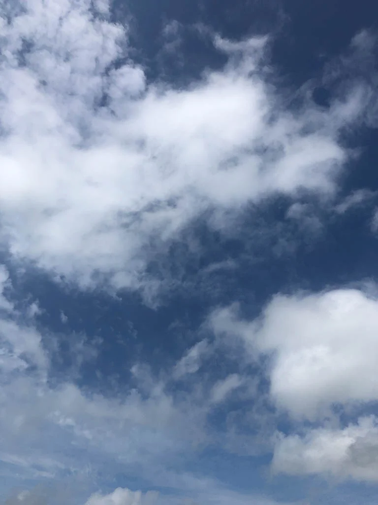 slf-20190505-48.jpg