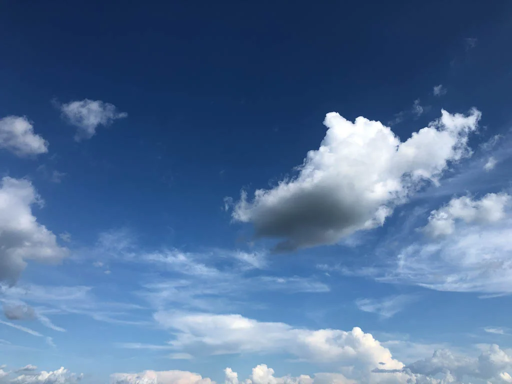 slf-20190511-40.jpg