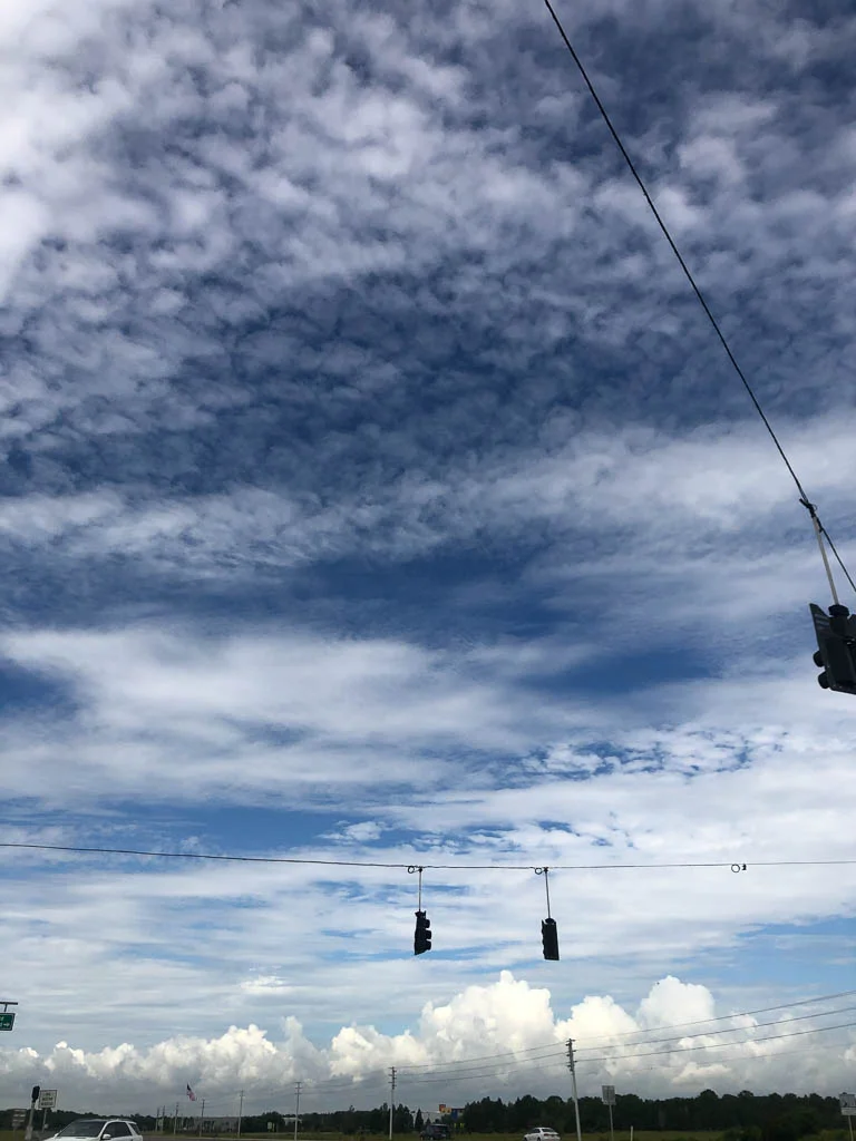 slf-20190607-17.jpg