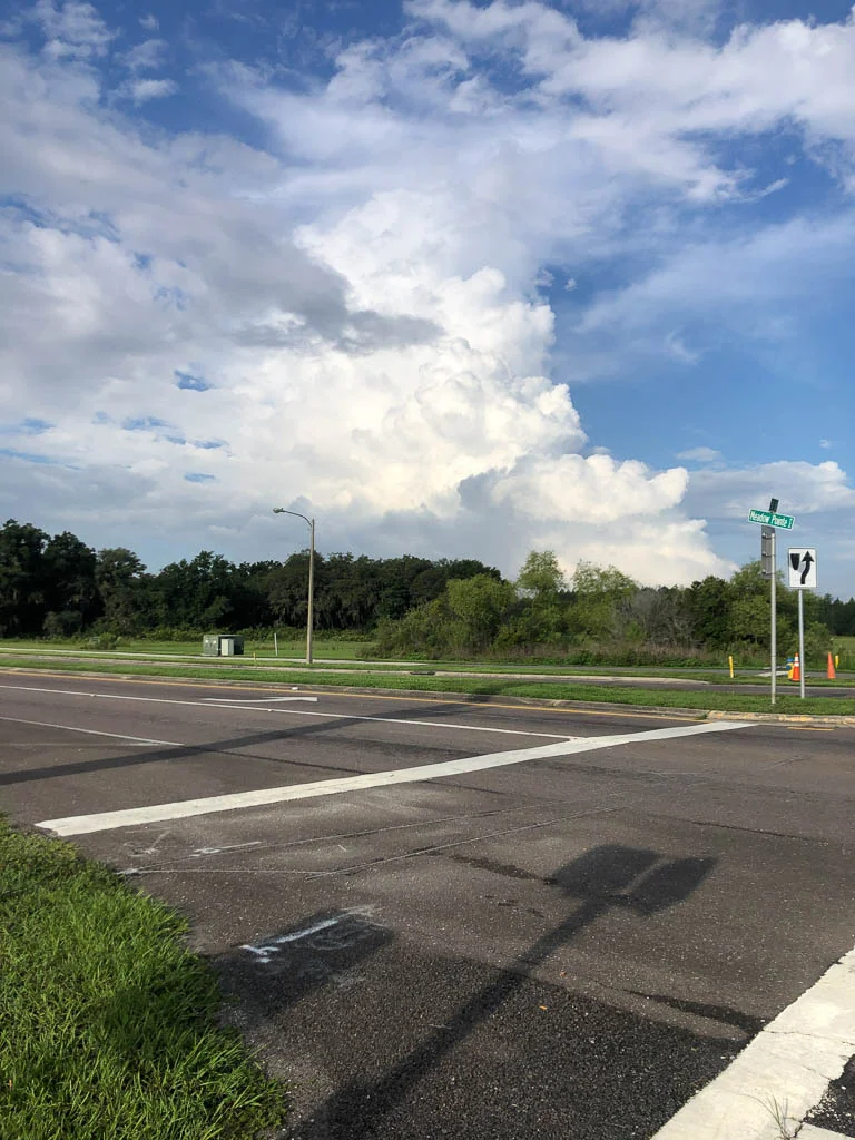 slf-20190618-03.jpg