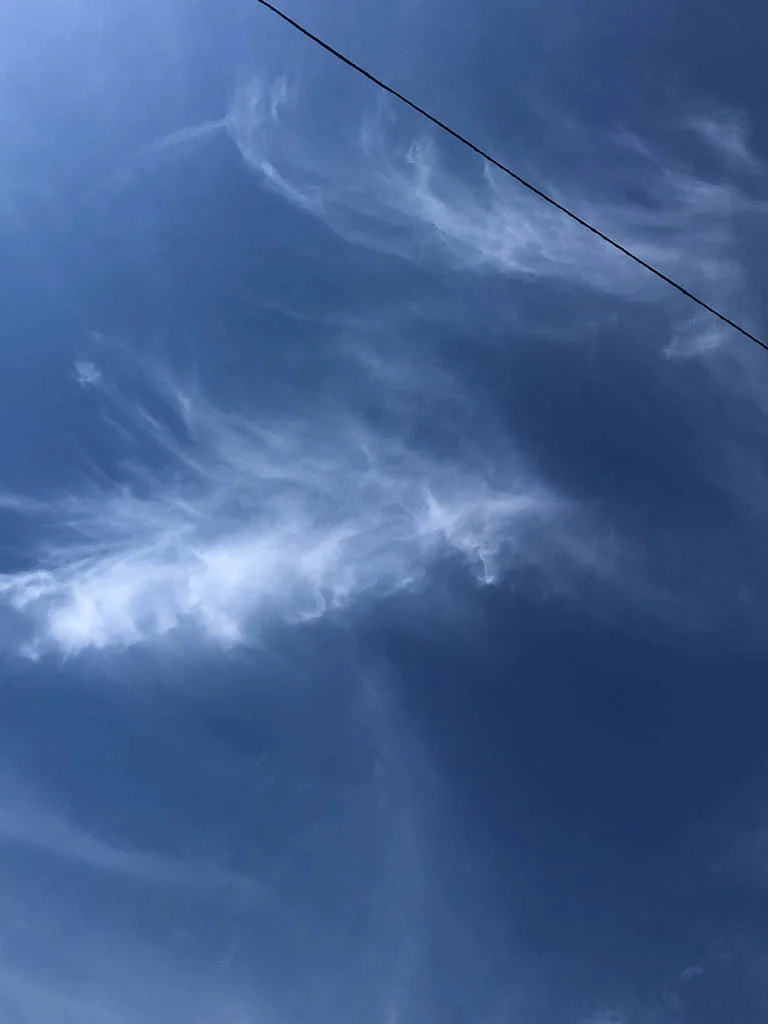slf-20190731-07.jpg