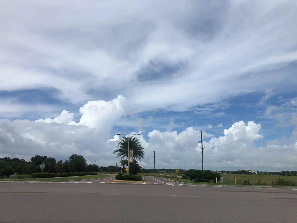 slf-20190807-15.jpg