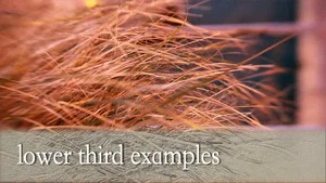 4474796-4123141-thumbnail.jpg