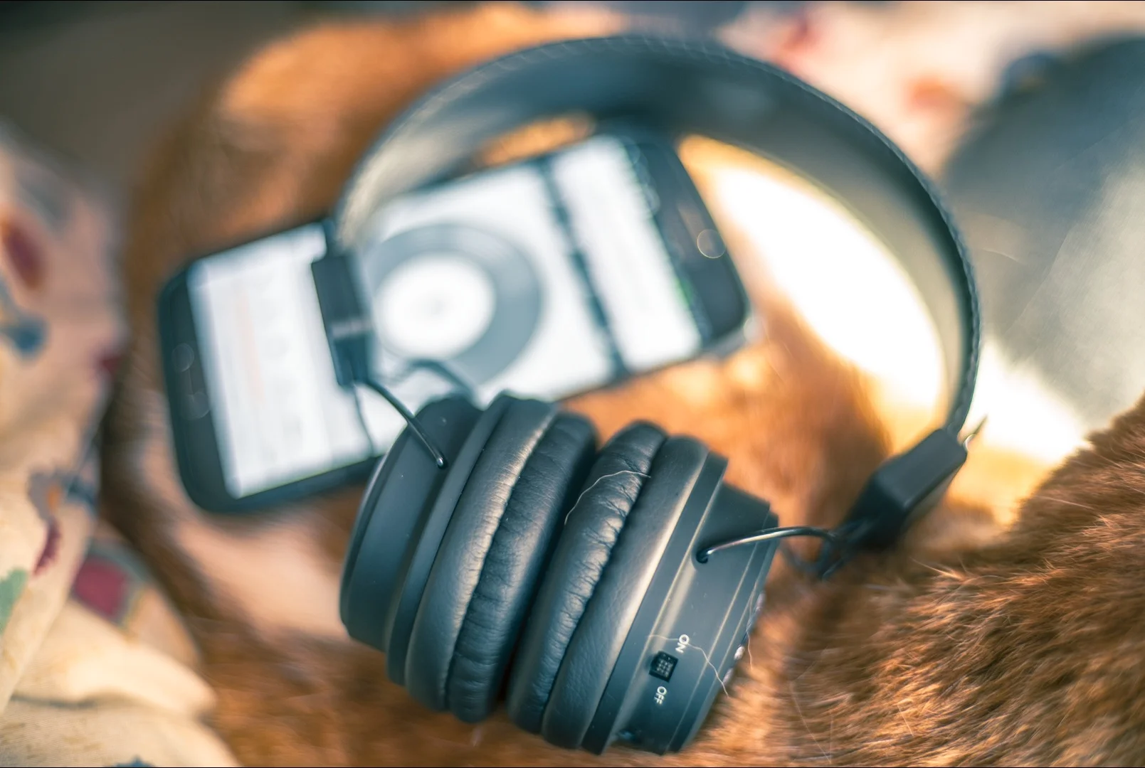 The SX-948C wireless headphones.