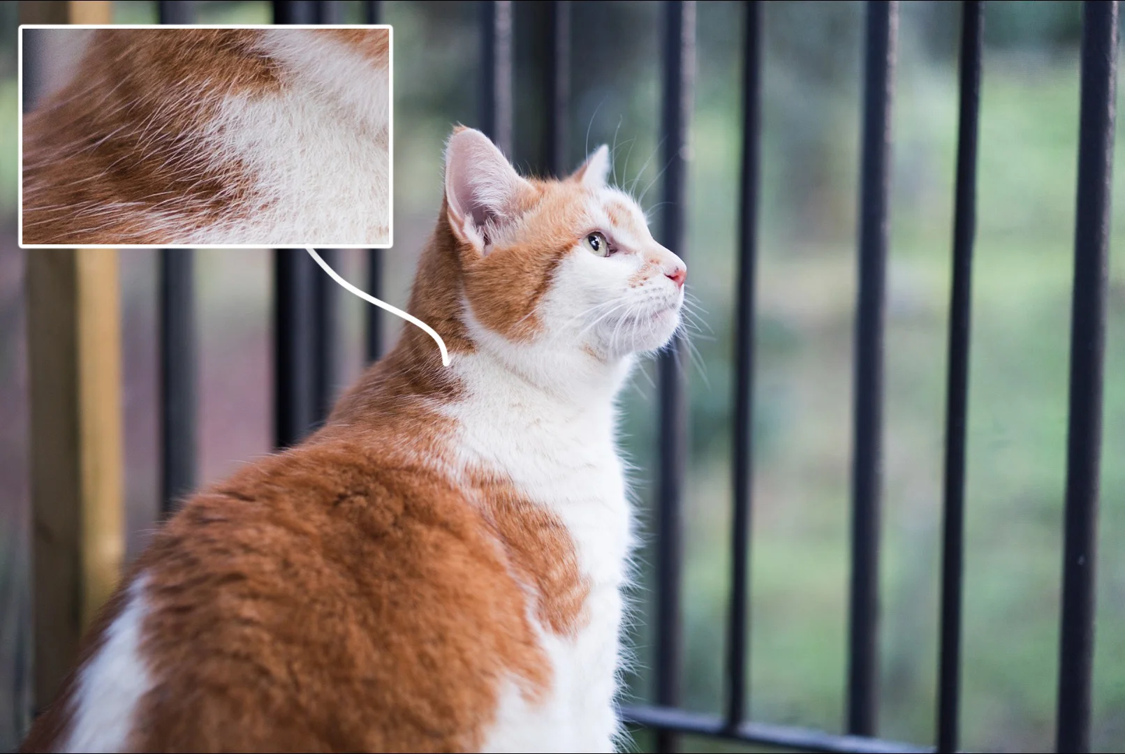 Test shot with the A7s. it's only 12 megapixel so we're not getting the crazy amount of detail as you would when combining this with the A7r. Processed in Lightroom. Click for larger. 