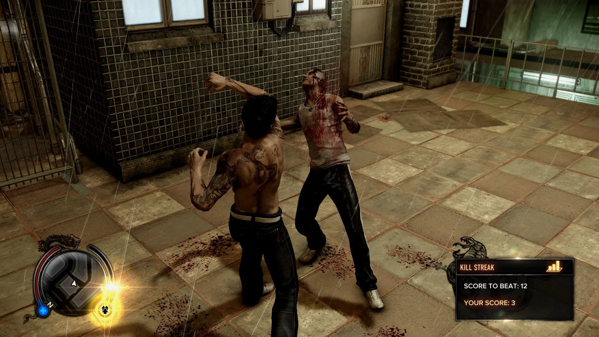 Sleeping Dogs