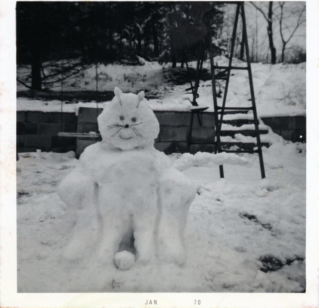 A snowcat my mom made when she was 13 years old. She turned 57 on November 25th, 2013.