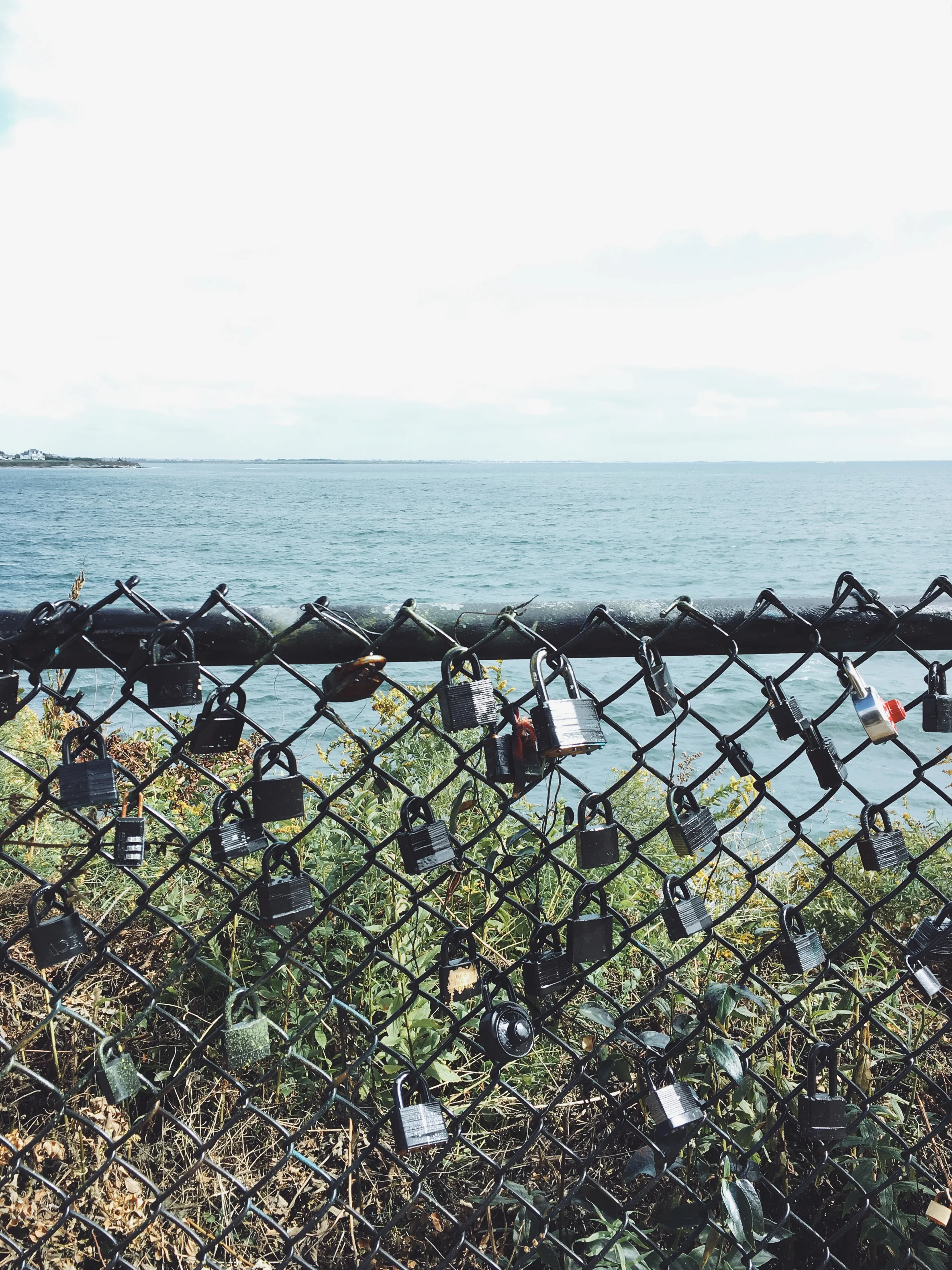 Processed with VSCOcam with a9 preset