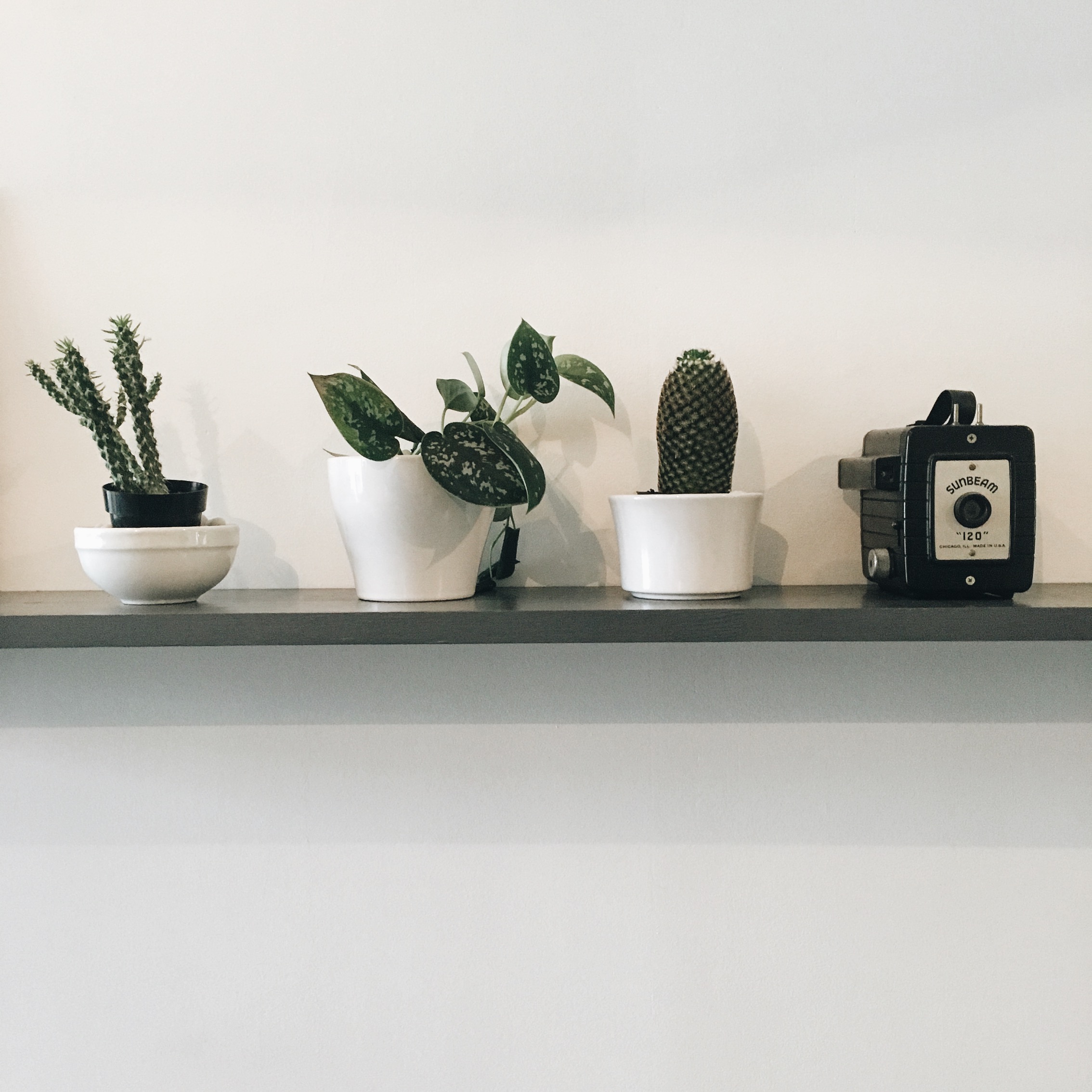 Processed with VSCO with a6 preset Processed with VSCO with a6 preset