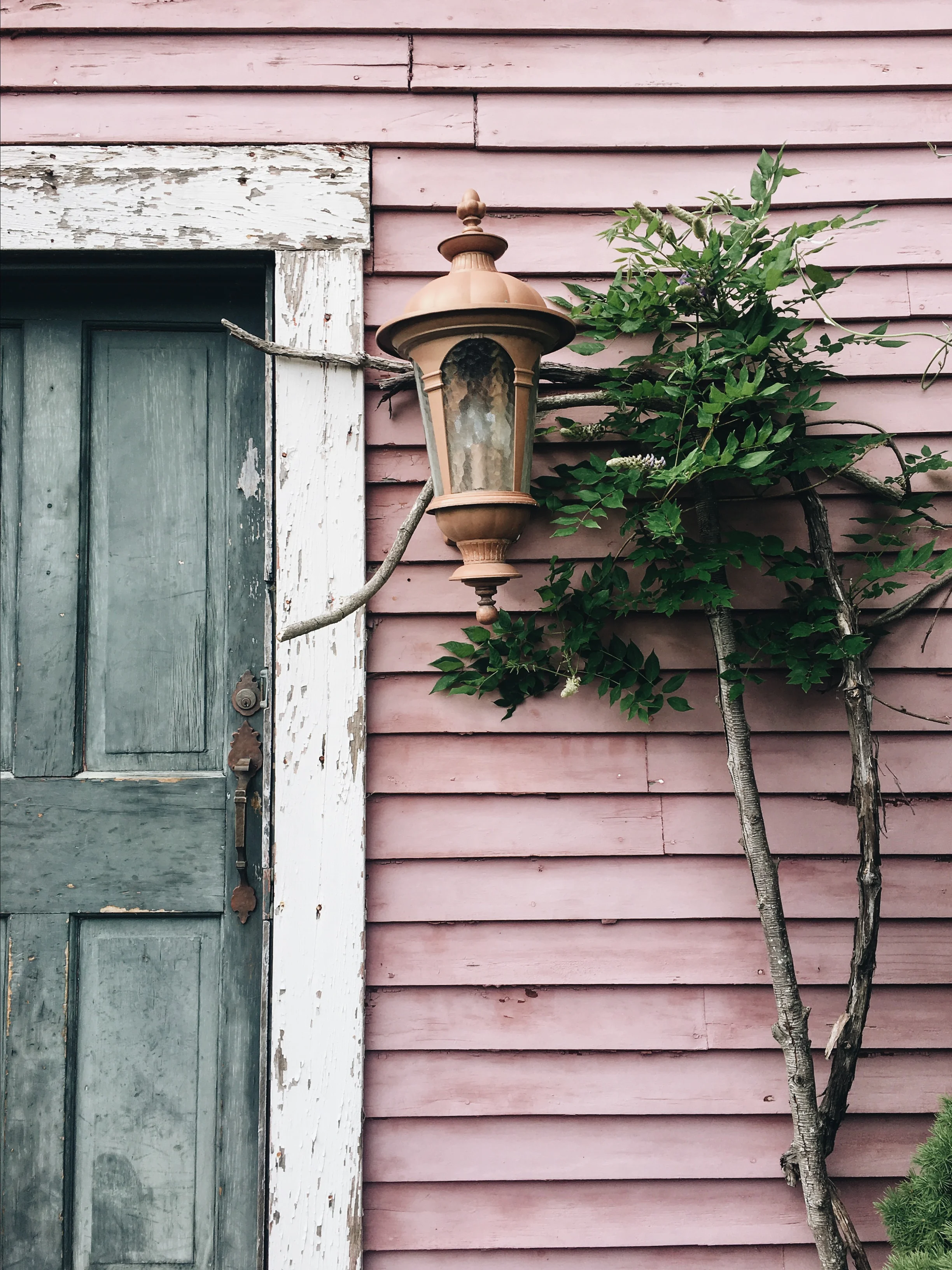 Processed with VSCO with a6 preset Processed with VSCO with a6 preset