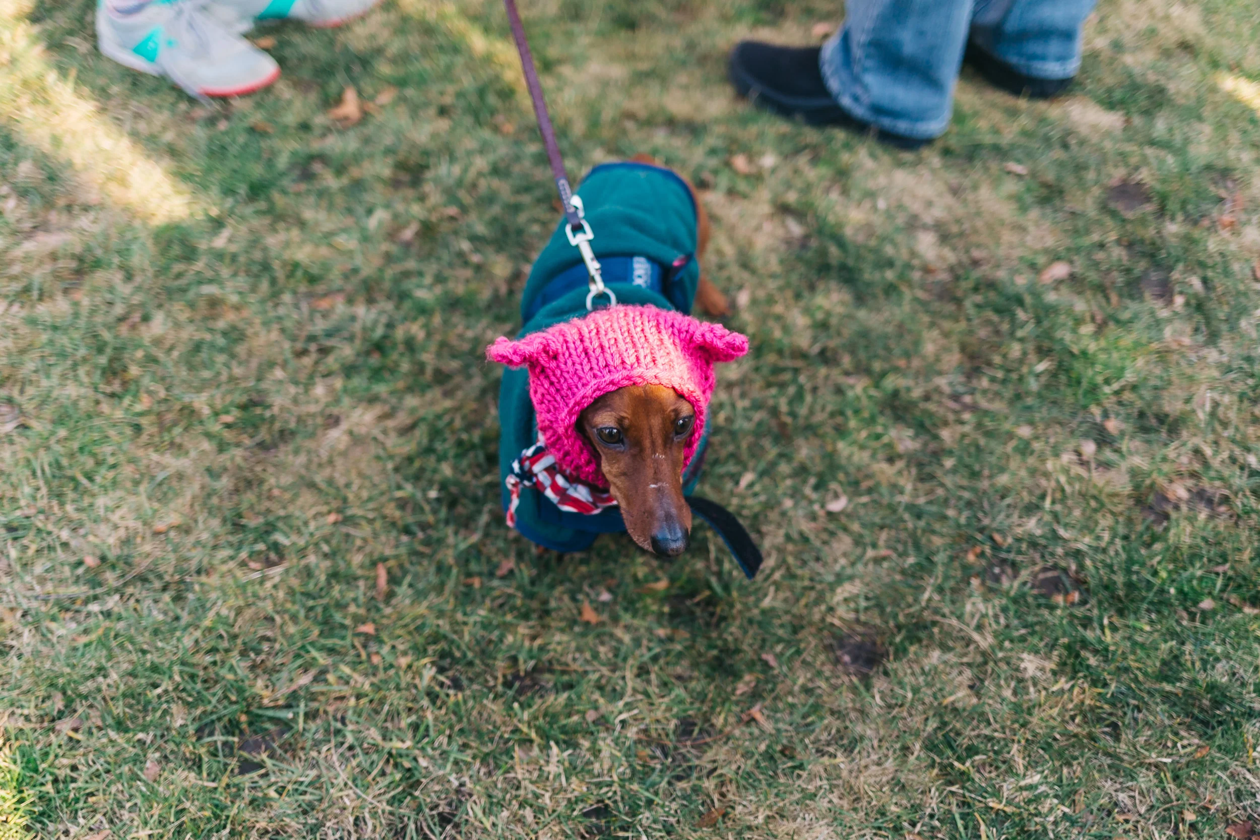 womensmarch-brittannytaylor-05.jpg