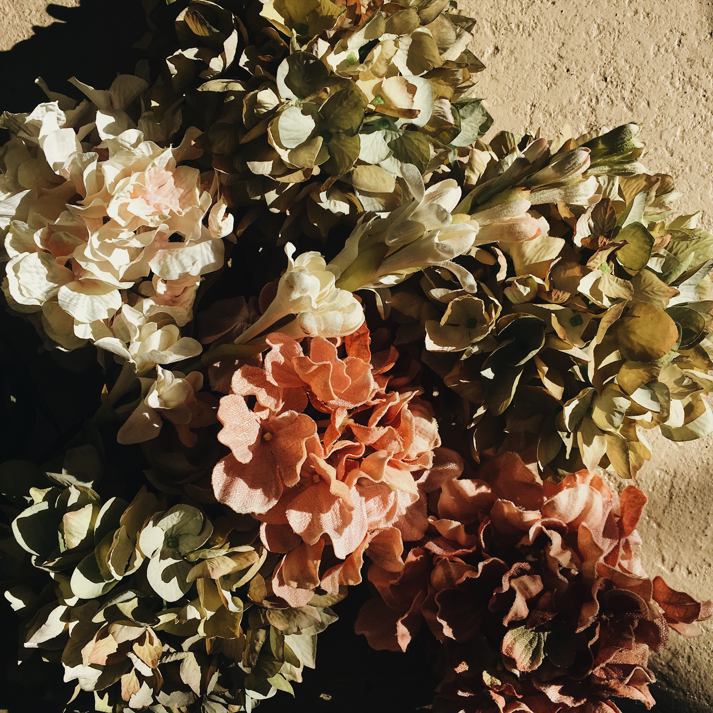 Processed with VSCO with a6 preset