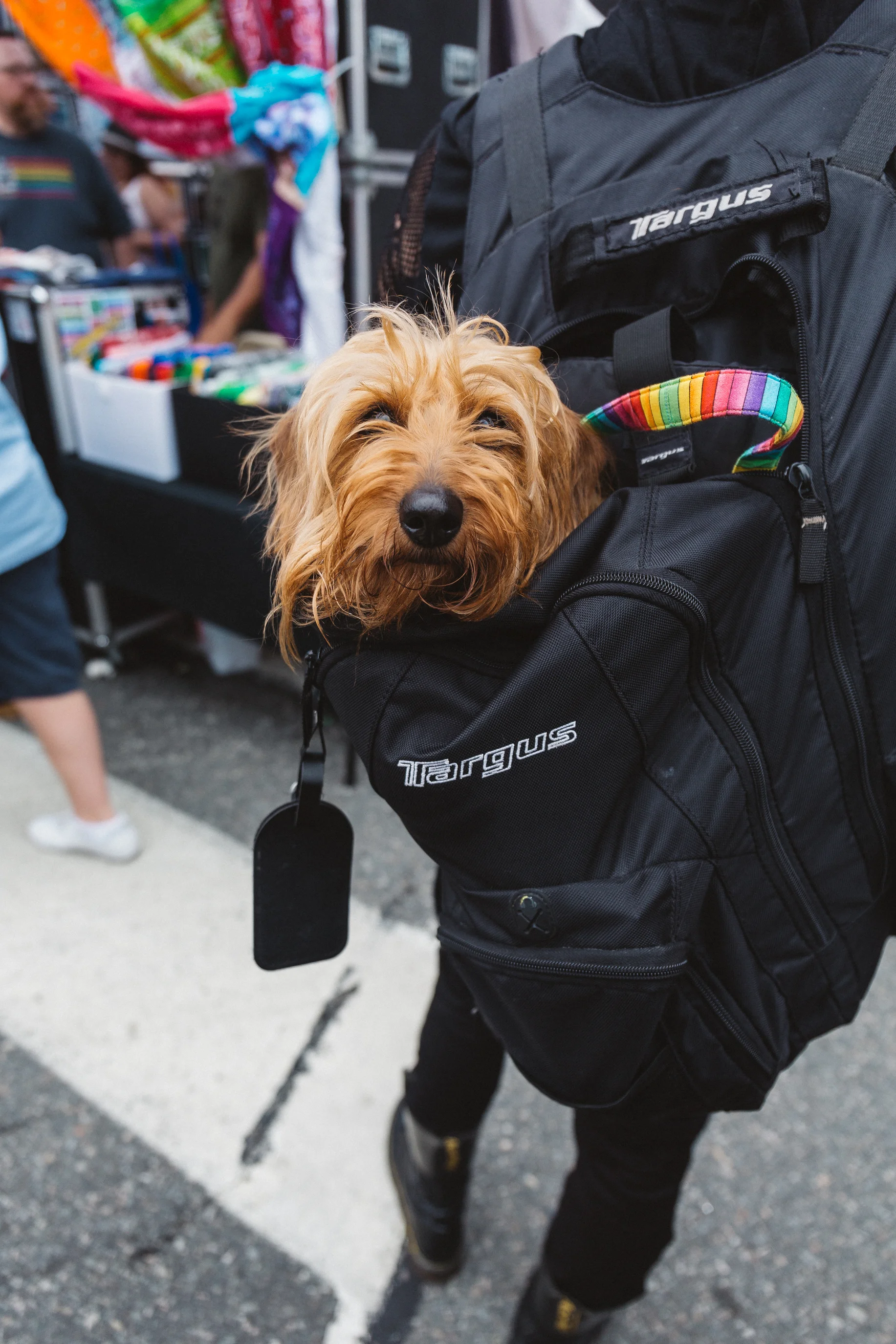 ripride17-brittannytaylor-28.jpg