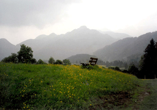 austria-copy.gif