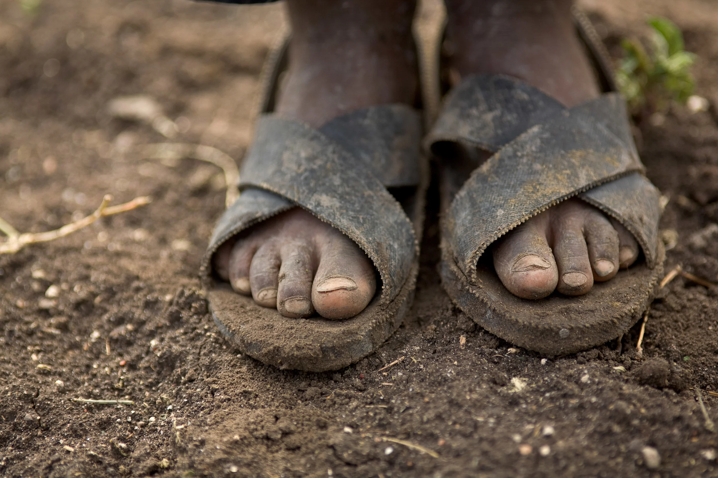 ECC_Compassion-33.jpg