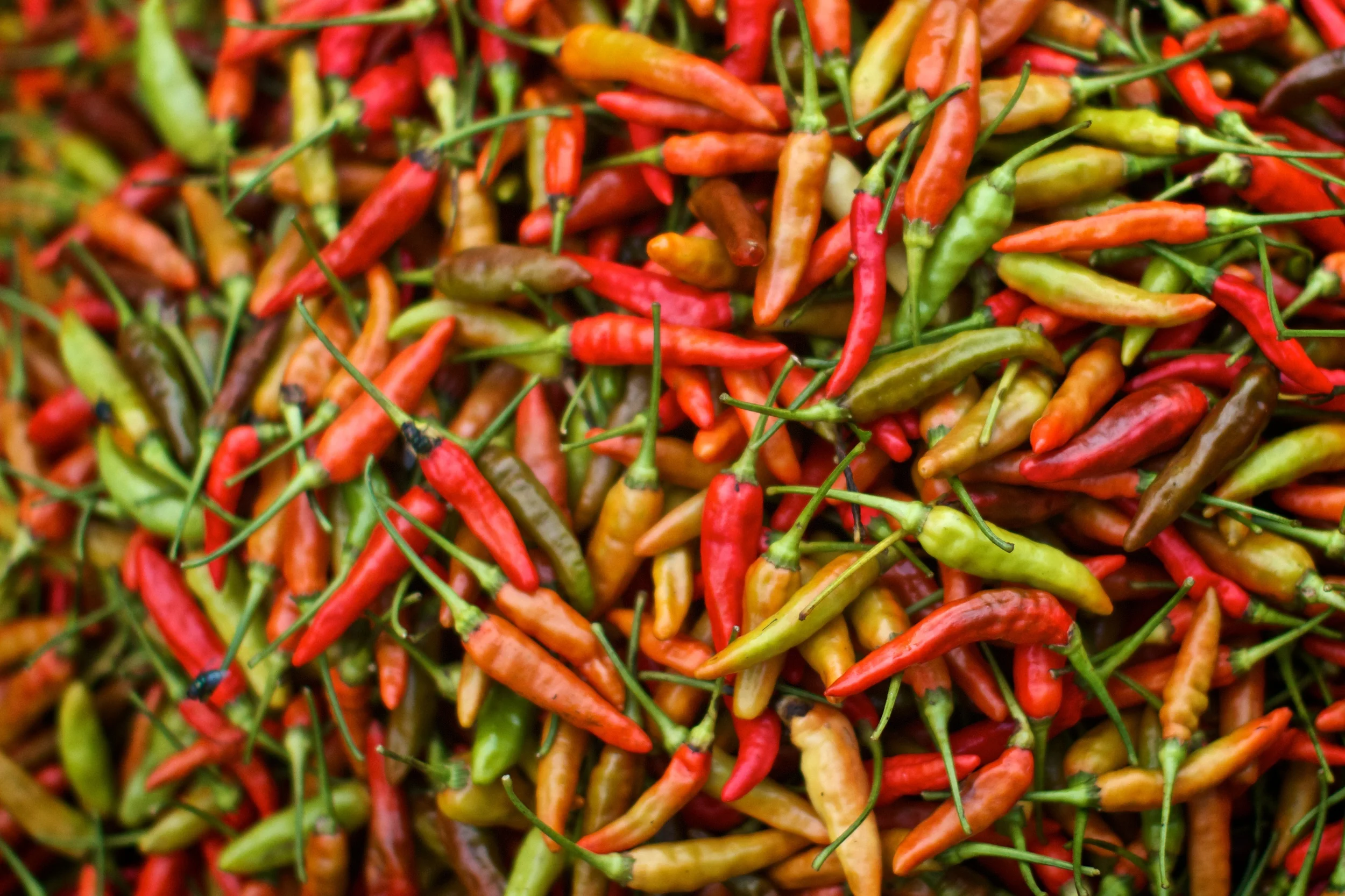 Peppers at the market.jpg