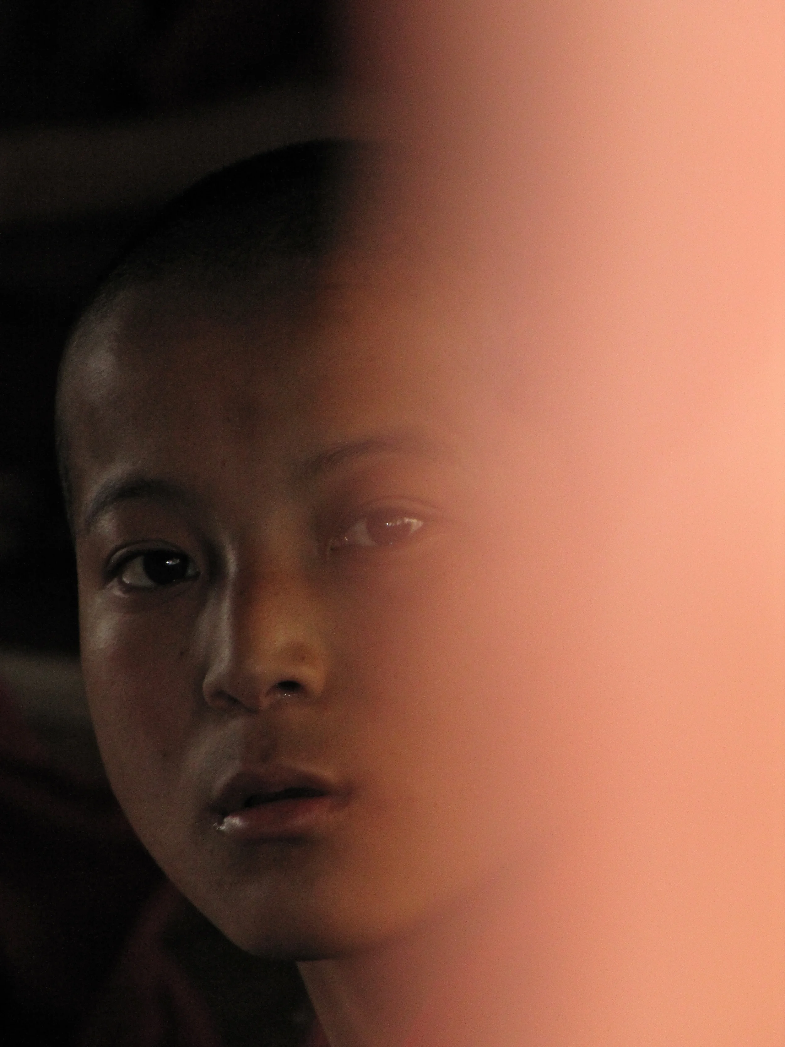 A curious monk.jpg
