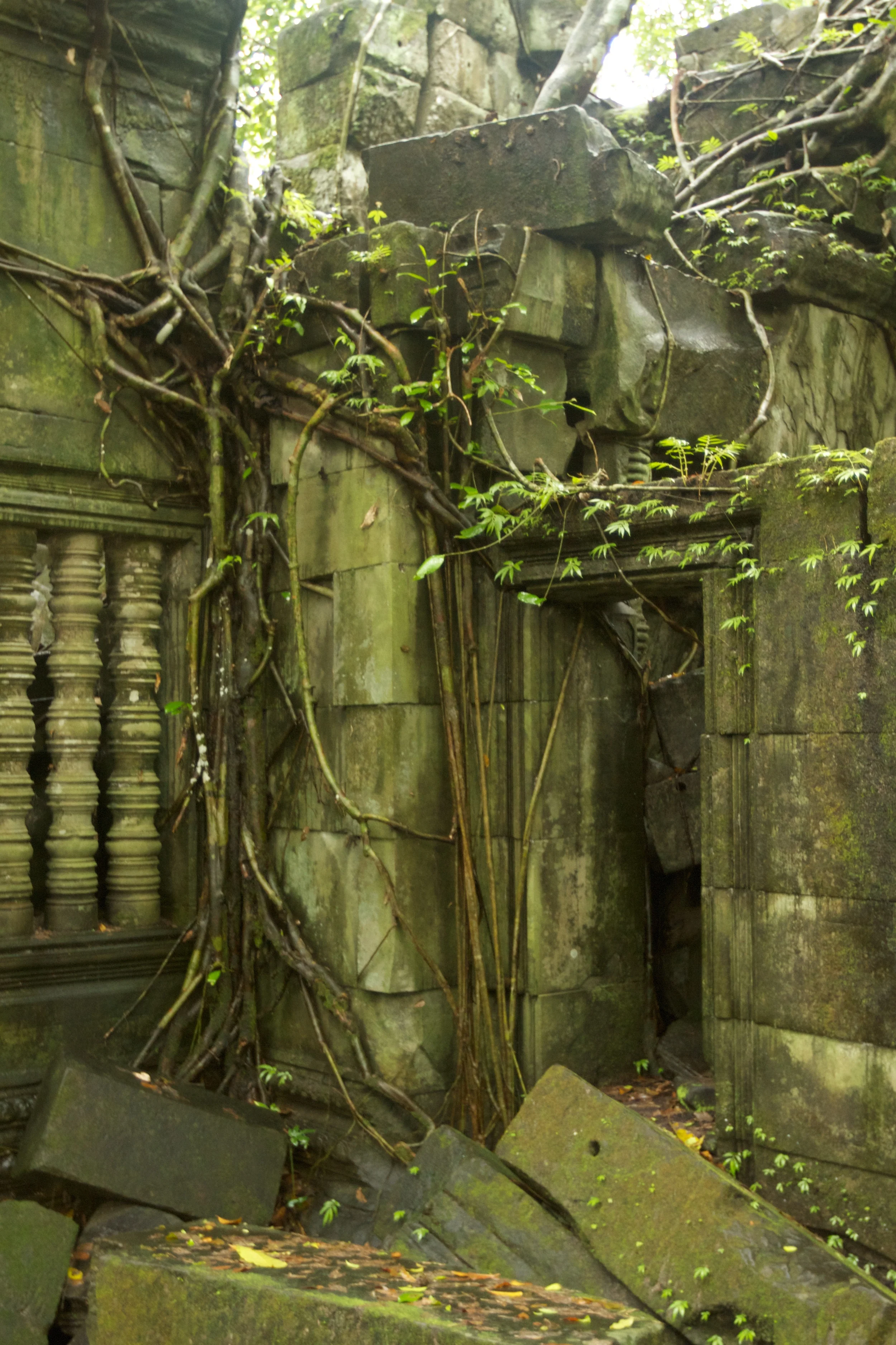 Overgrown door at Beng Mealea.jpg