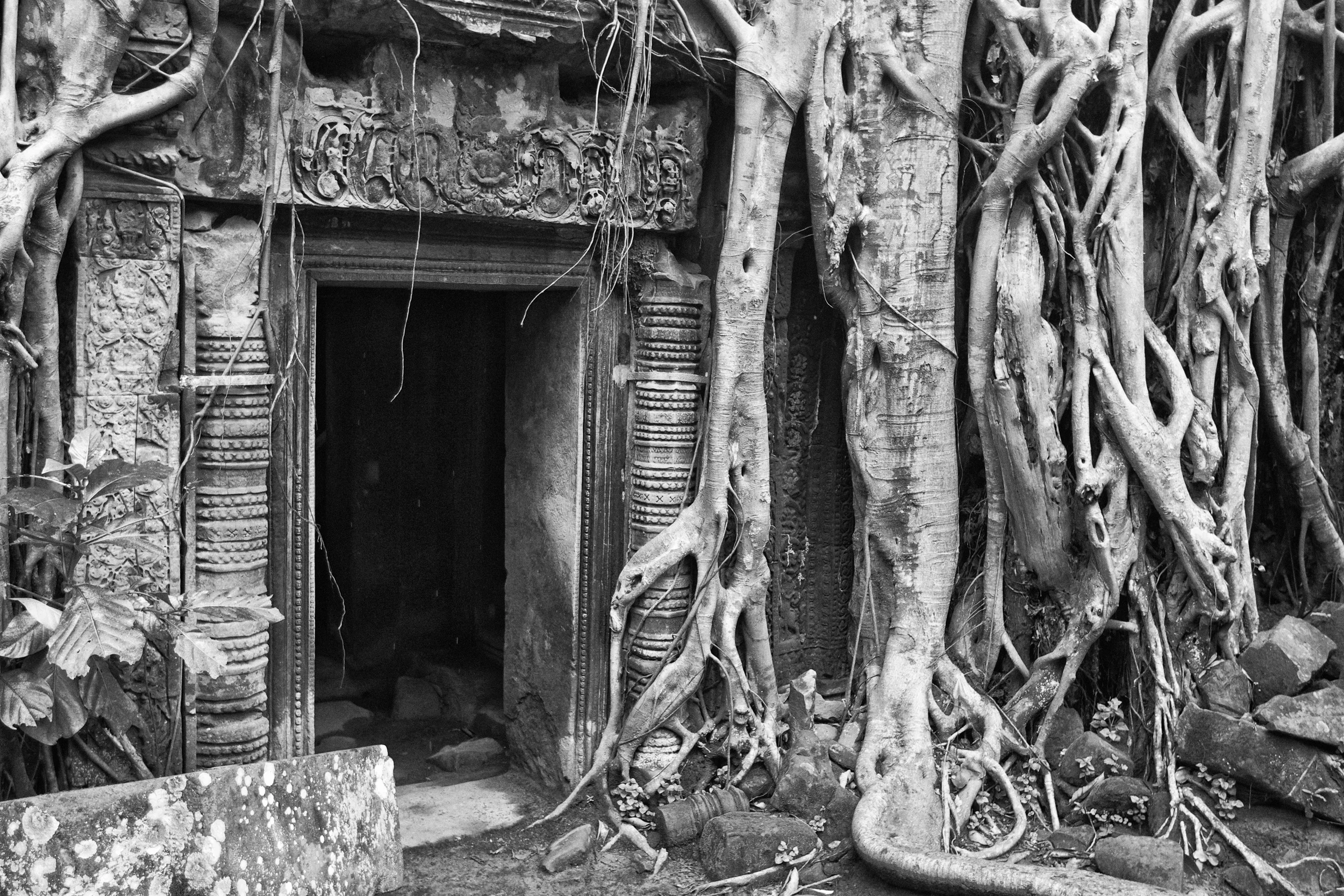 Ta Prohm.jpg