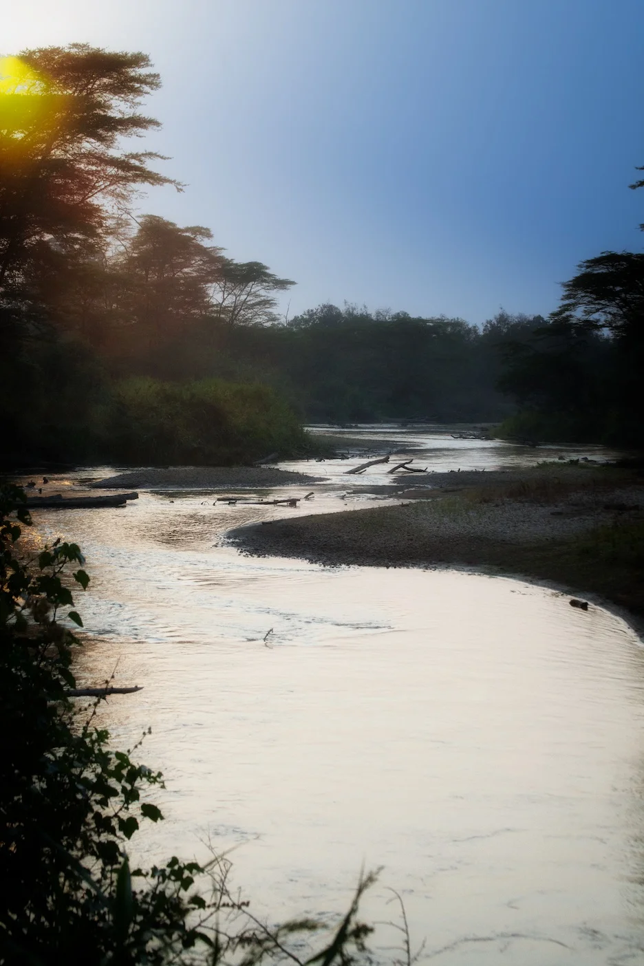 Sunset along the river
