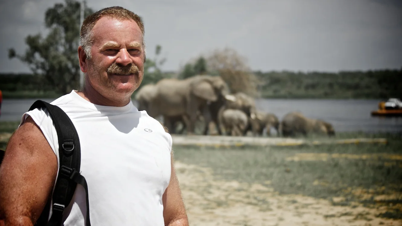 Elephants came to us