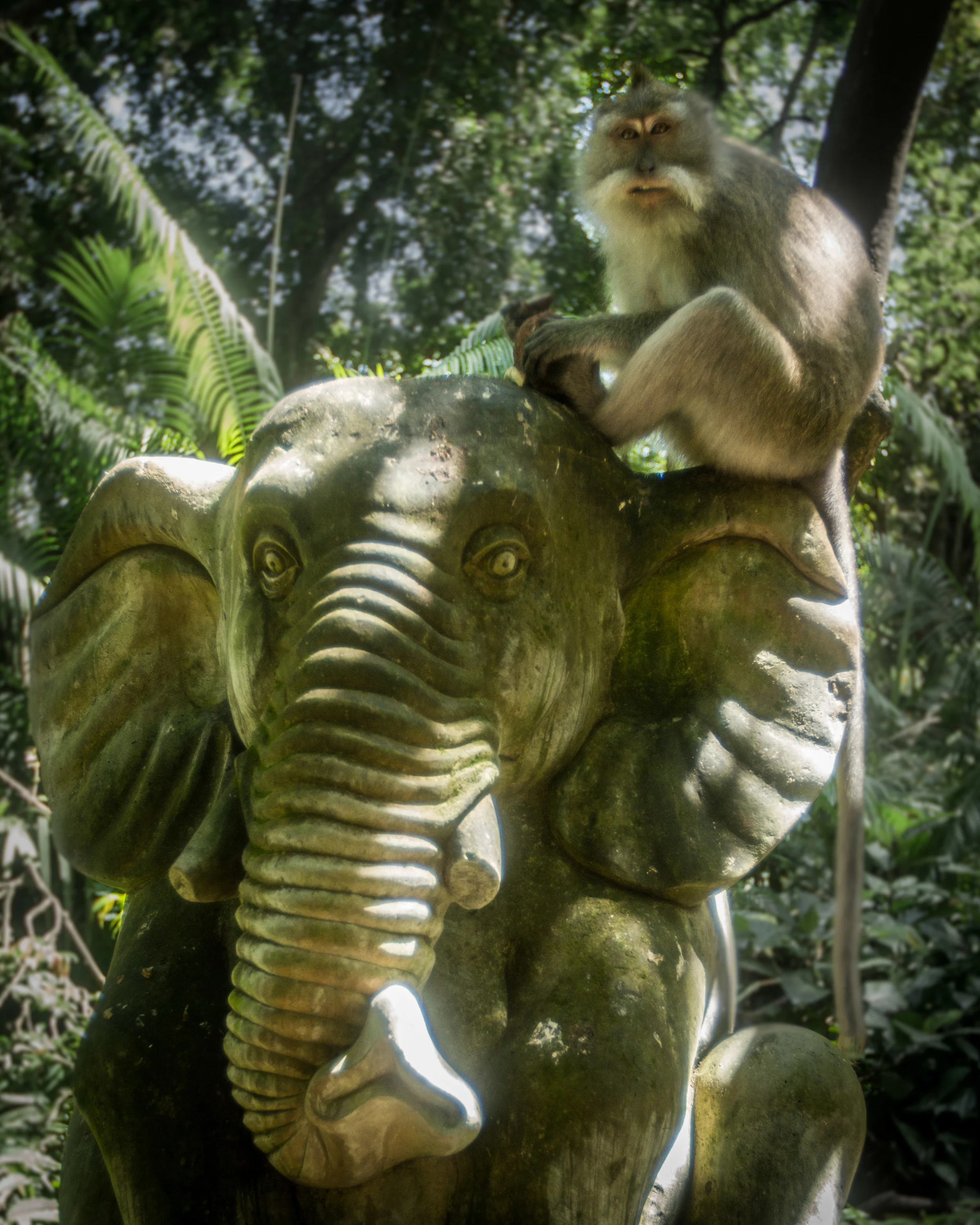 bali-4.jpg